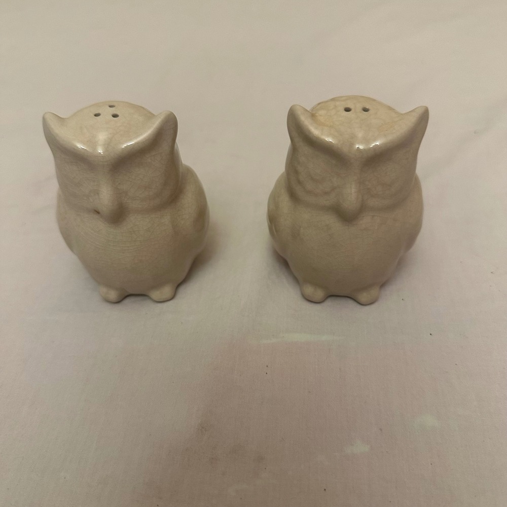 Target Home Ceramic Owl Salt and Pepper Shakers Cream Crackle Glaze Set of 2